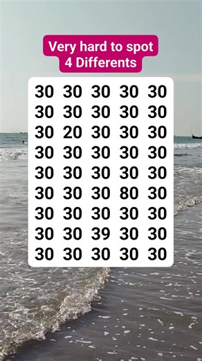 Puzzle World on Reels