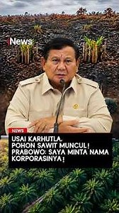 Usai Karhutla, Pohon Sawit Muncul, Prabowo: Saya Minta Nama Korporasiya! | iNews Terkini