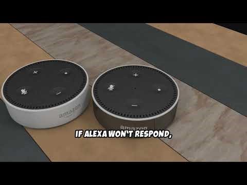 Echo Dot Speaker Not Working - How to Fix Audio Issues