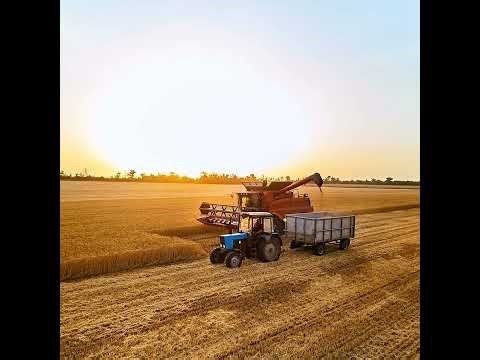 Dealing with Farm-Related Accidents