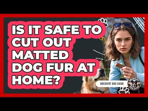 Is it safe to cut out matted dog fur at home?