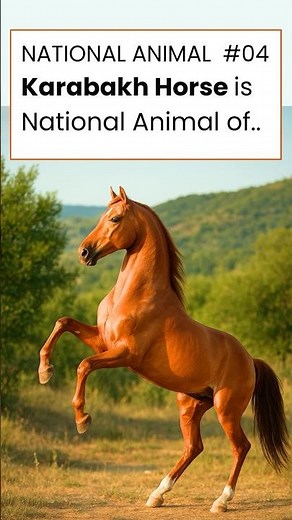 National Animal #04 - KarabakhHorse - Azerbaijan #commonpeoplefornature #nationalanimal