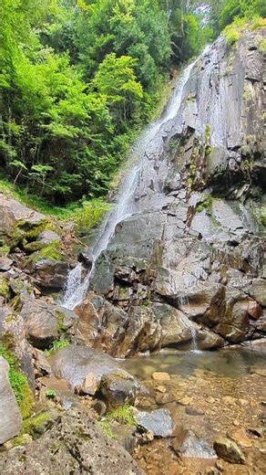 大倉百滝 #gifu #自然 #滝 #gifuprefecture #nature