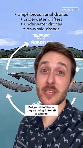 5.2K views · 28 reactions | Did you know that scientists are using AI to decode and talk to whales? Yes, whales. Sperm whales to be exact. #ArtificialIntelligence #Whales #Tech | CNET | Facebook