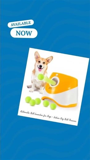 Automatic Ball Launcher for Dogs - Indoor Dog Ball Thrower