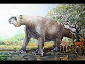 The Colossal Sloth - Megatherium