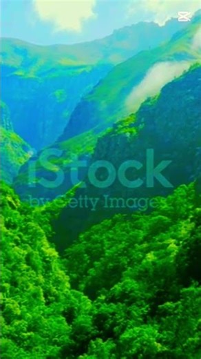 Relax & Breathe. 🌿🌿#shorts #relax #clam #music