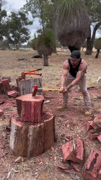 STIHL Block Splitter in Action