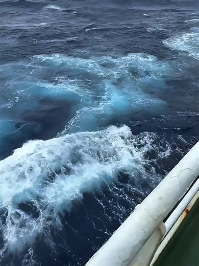 اكتشف أسرار المحيط الهادئ العملاق