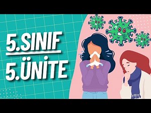 5. Sınıf İngilizce 5. Ünite Konu Anlatımı