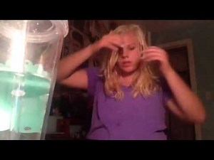 Girl smashes her head on a desk