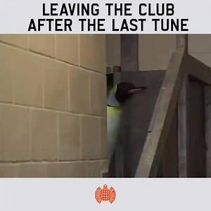 73K views · 1.1K reactions | Emotional | Ministry of Sound Club | Facebook