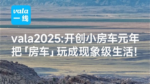 【vala2025年度回顾】