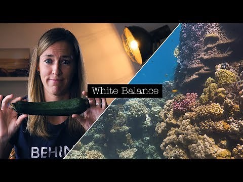 HOW TO SET MANUAL WHITE BALANCE FOR UNDERWATER FILMING