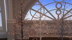 13K views · 130 reactions | Add a little sparkle to your festive decorations with Today’s Special Value Alison Cork LED Glitter Tree > https://goo.gl/nurj86 | QVC | Facebook