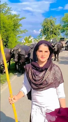 gujari pahadi song bbbbn gujari pahadi geet gujari pahari gana gujari pahadi song gujari pahadi geet