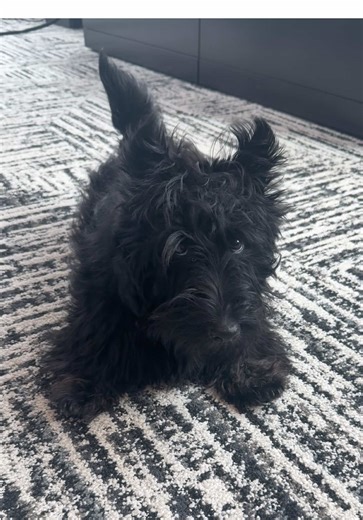 Morning Stretch Routine for Achieving Quarterly Goals