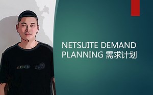 NETSUITE DEMAND PLANNING 需求计划
