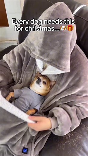 Snuggyhoody on Instagram: "Perfect gift for a dog owner this Christmas! 🥹🎄 #dog #smalldog #snuggyhoody #doglover #linkinbio🛍️"