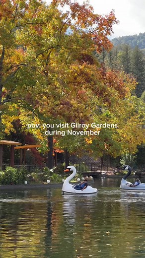 Exploring Gilroy Gardens: A Bay Area Gem