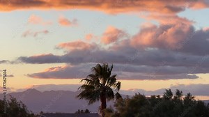 Sunrise with Morning Breeze , trees blowing in the wind .
