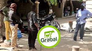 Grabal 108: un des plus gros & grands béliers du moment L'équipe Grabal est allée à la rencontre des éleveurs à San et alentours. Elle a notamment rencontré Daba Tamboura le propriétaire de l'un des béliers les plus gros et grands de toute la sous-région. Il nous a livré un témoignage instructif et touchant sur sa perception de l'élevage traditionnel. Ne ratez pas son intervention à suivre Grabal : Install Grabal App on Android and Help us to help you & the breeders #grabal #timadie #coopetition