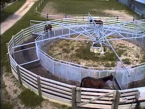 Odyssey Performance Horse Exerciser