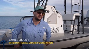 New sanctuary hopes to protect endangered whooping crane