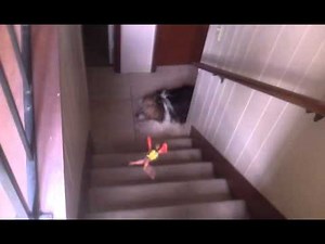 Homer Simpson Falling Down The Stairs