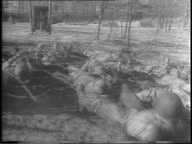 Soldier shoots machine gun at training course as other soldiers crawl...