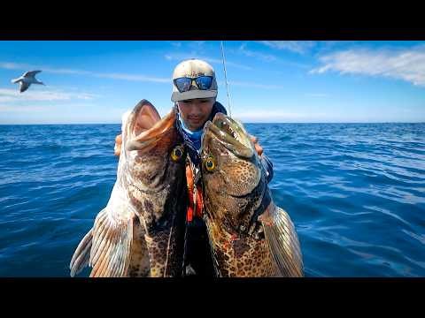 One HUGE Bait, Two BIGGER Lingcod - Live Bait Limit
