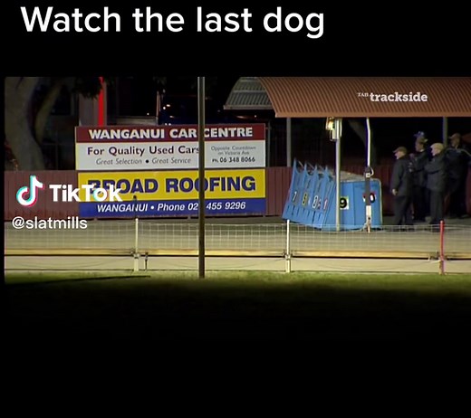 Meet the Fastest Dog in the World: Racing at Incredible Speeds