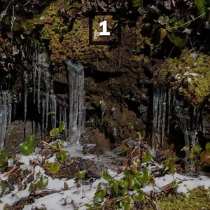 Will you be in town this winter? Here are some fun things to do in the Great Smoky Mountains National Park --->>> https://www.visitmysmokies.com/blog/smoky-mountains/things-to-do-great-smoky-mountains-national-park-winter | Visit My Smokies