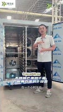 Professional Mango Heat Pump Dryer | Also for Vegetables, Meat, Fish & Noodles