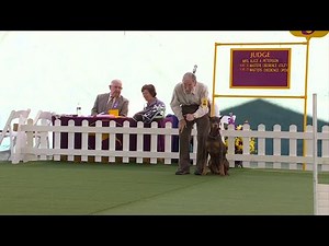 2023 WKC Masters Obedience Trials