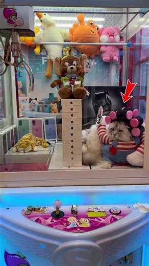 The claw machine surprised me again (part 63) #clawmachine #arcade #prize