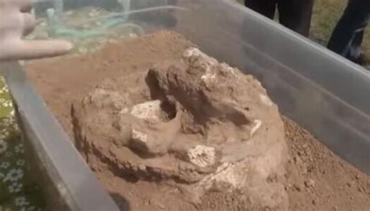 Archaeologists discover 1.8-million-year-old human jawbone in Georgia