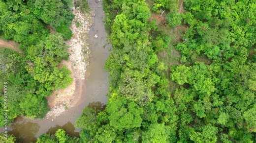 Top down aerial view of dense gallery forest vegetation lining the São Miguel River, showing the riparian tree canopy and narrow river channel typical of the Cerrado biome, Goiás State, Brazil.