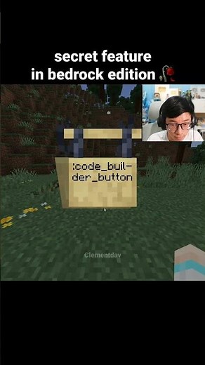 Minecraft Secret Feature Moment