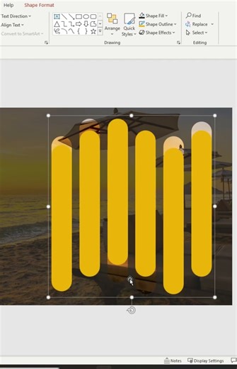 The Four Seasons – A Beautiful Journey Through the Year