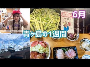 一週間【VLOG】青ヶ島買い物事情【日常】釣り【おうち時間】