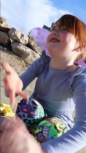 FAiRY ADLEY PRANKS PiRATE DAD!! iguana scare at pirate island! Pirate ship animal friends