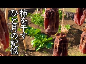 【総集編】干し柿作り 秋から冬へ ひと月かけて ひと粒の甘さ