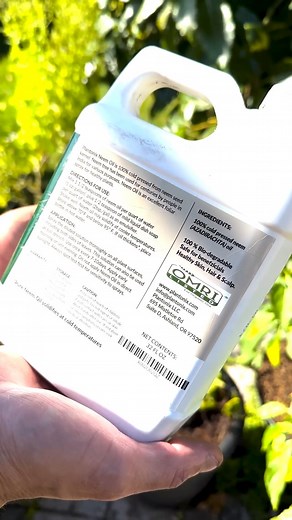 Watch Neem Bliss - Pure Neem Oil for Plants ﹙Review - Watch First﹚ on Amazon Live