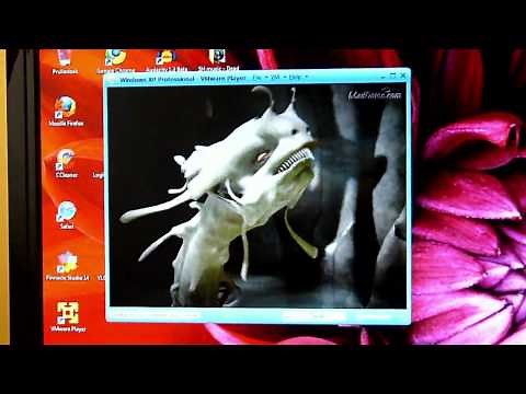 3d hardware acceleration on VMWare (3DMark 2001, nature scene)
