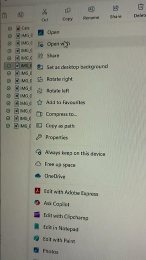 How to open image with Windows 11