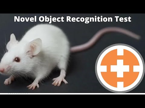 Novel Object Recognition Test