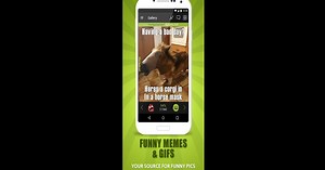 Download and run Memedroid - Memes App, Funny P on PC & Mac (Emulator)