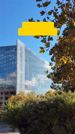 Take a moment to relax while we take you on a short tour of fall foliage around the Aquarium! | National Aquarium