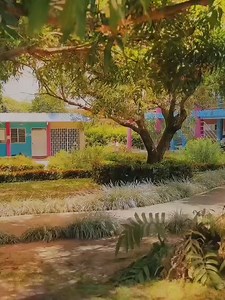 Desde las aulas de Tauramena, la Institución Educativa Siglo XXI presenta con orgullo nuestra propuesta educativa: